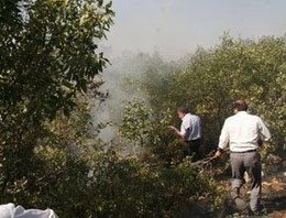 PKK ile çatışma süren ormanlık alan yandı